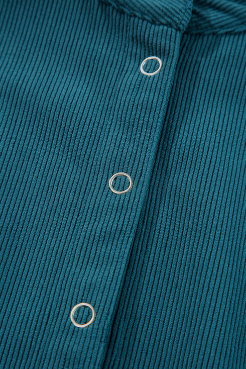 shirt-collar-long-sleeve-button-mini-dress