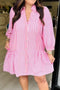 Pink Stripe Long Sleeve Button Front Ruffled Hem Plus Size Mini Shirt Dress