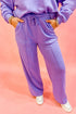 Wisteria Solid Color Collared Pullover and Central Seam Pants Set