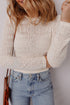 Jet Stream Semi Sheer Lace Long Sleeve Cropped Top