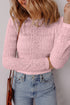 Light Pink Semi Sheer Lace Long Sleeve Cropped Top