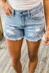 high-waist-plus-size-ripped-denim-shorts