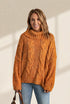 Chunky Knit Turtleneck Pullover