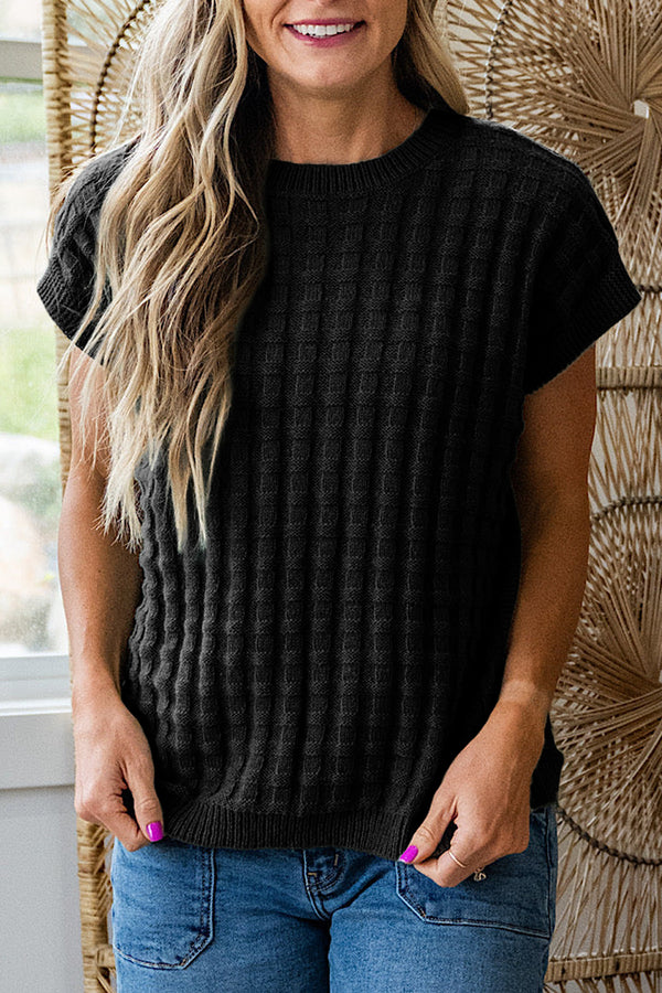 Black Solid Color Round Neck Textured Short Sleeve Sweater