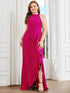 Elegant Halter Neck Sleeveless Pencil Evening Gown