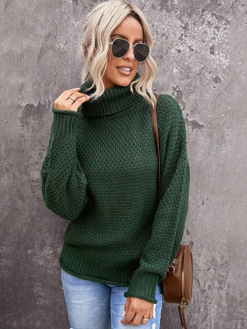 Thick Thread High Neck Bat Sleeve Knit Sweater