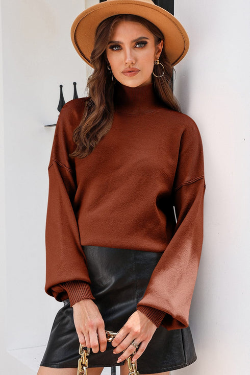 Turtleneck Solid Pullover Long Sleeve Sweater