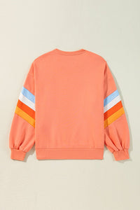 Flamingo Rainbow Striped Sleeve Crew Neck Loose Sweatshirt