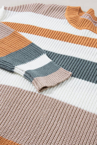 Multicolor Striped Round Neck Long Sleeve T-Shirt