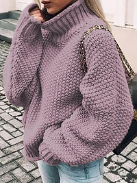 Thick Thread High Neck Bat Sleeve Knit Sweater