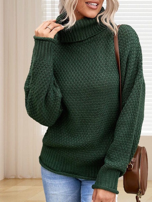 Thick Thread High Neck Bat Sleeve Knit Sweater