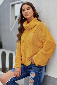 Thick Thread High Neck Bat Sleeve Knit Sweater