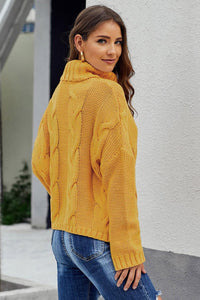 Thick Thread High Neck Bat Sleeve Knit Sweater