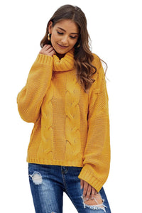 Thick Thread High Neck Bat Sleeve Knit Sweater