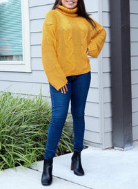 Thick Thread High Neck Bat Sleeve Knit Sweater