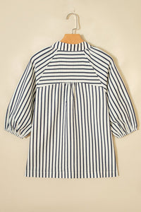 Blue Stripe Floral Embroidered Detail V Neck Short Sleeve Blouse