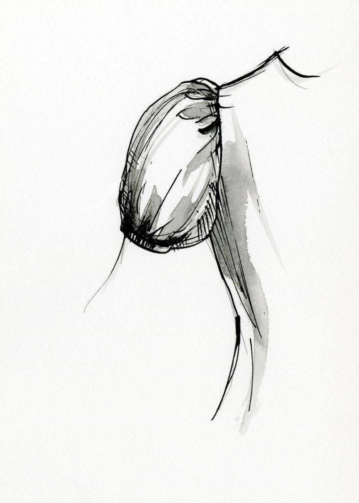 Fashion drawing of a sleeve widening toward the cuff in a flared silhouette.