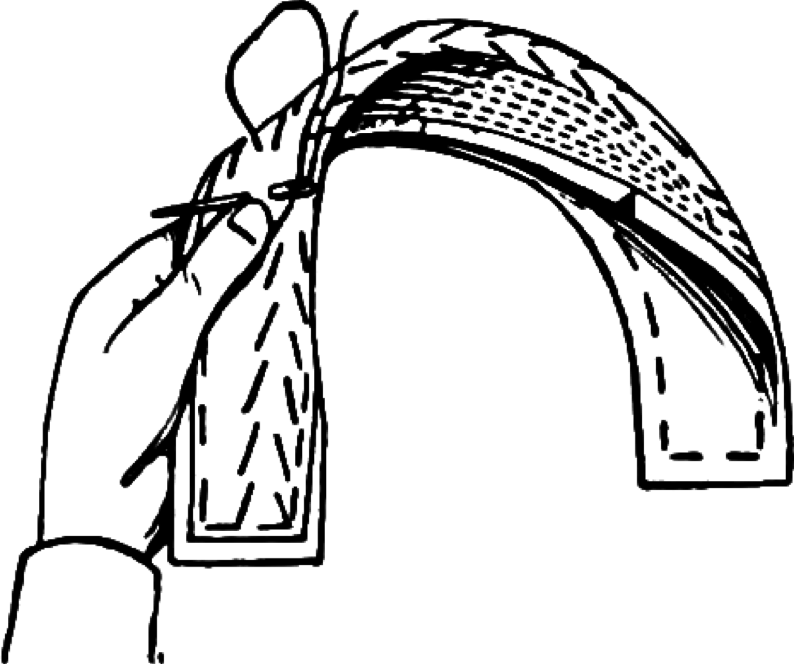 Pad stitching securing collar canvas interfacing layer.