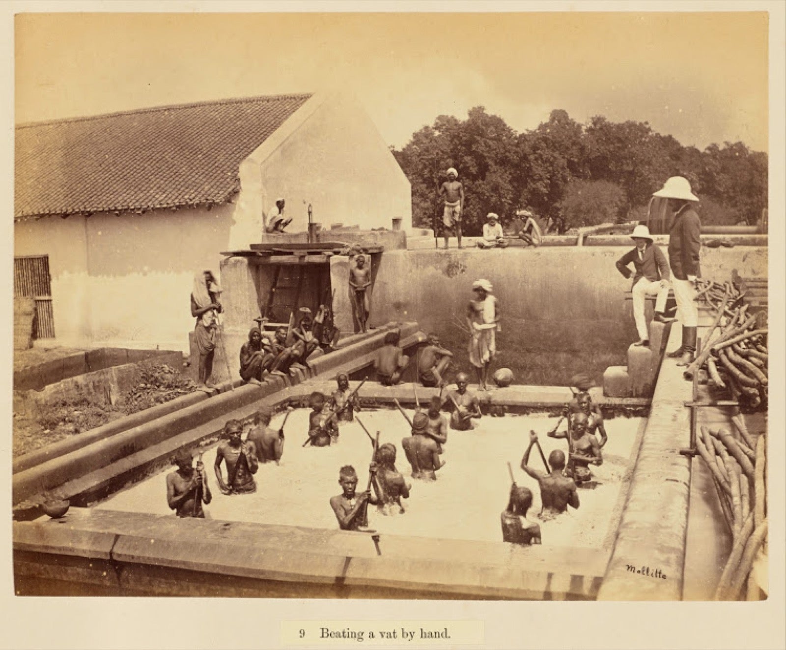 Workers beating indigo vat by hand to aerate reduced dye liquor.