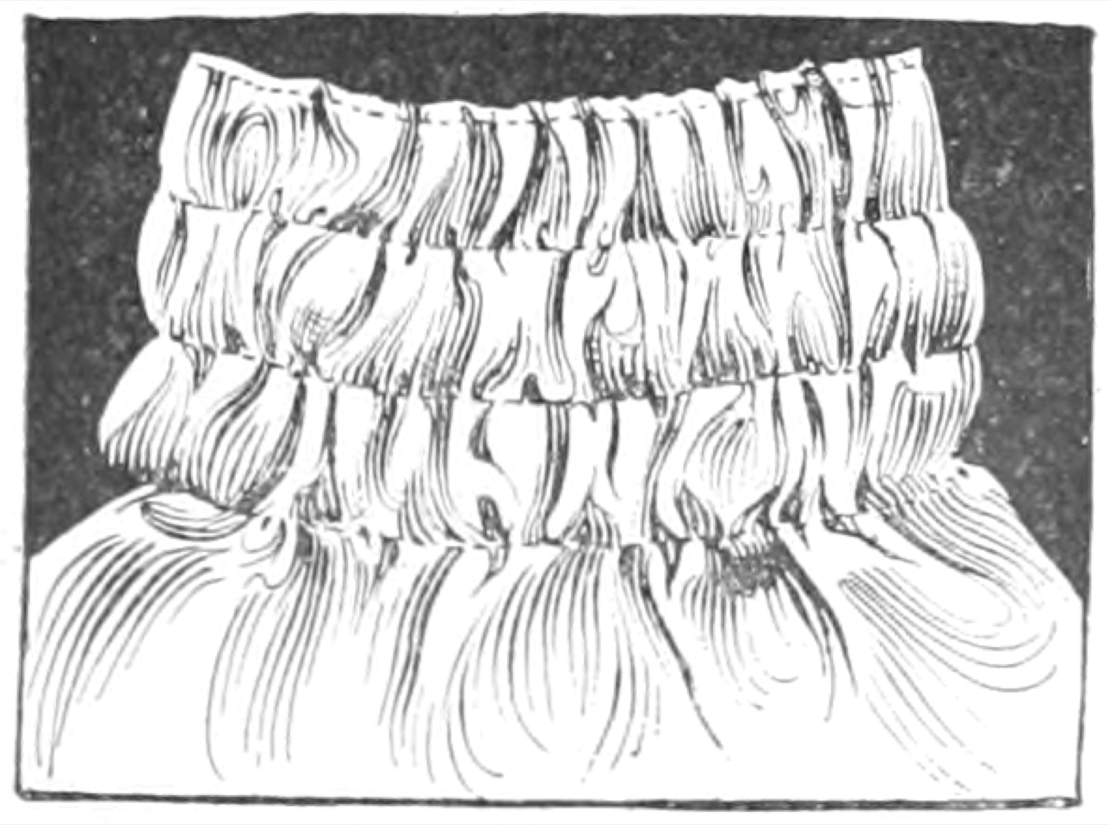 Simple shirring rows pulling fabric into parallel soft gathers.